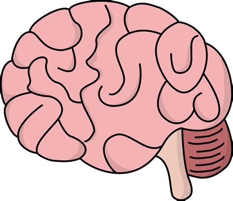 picture of a brain cartoon|brain picture clip art.